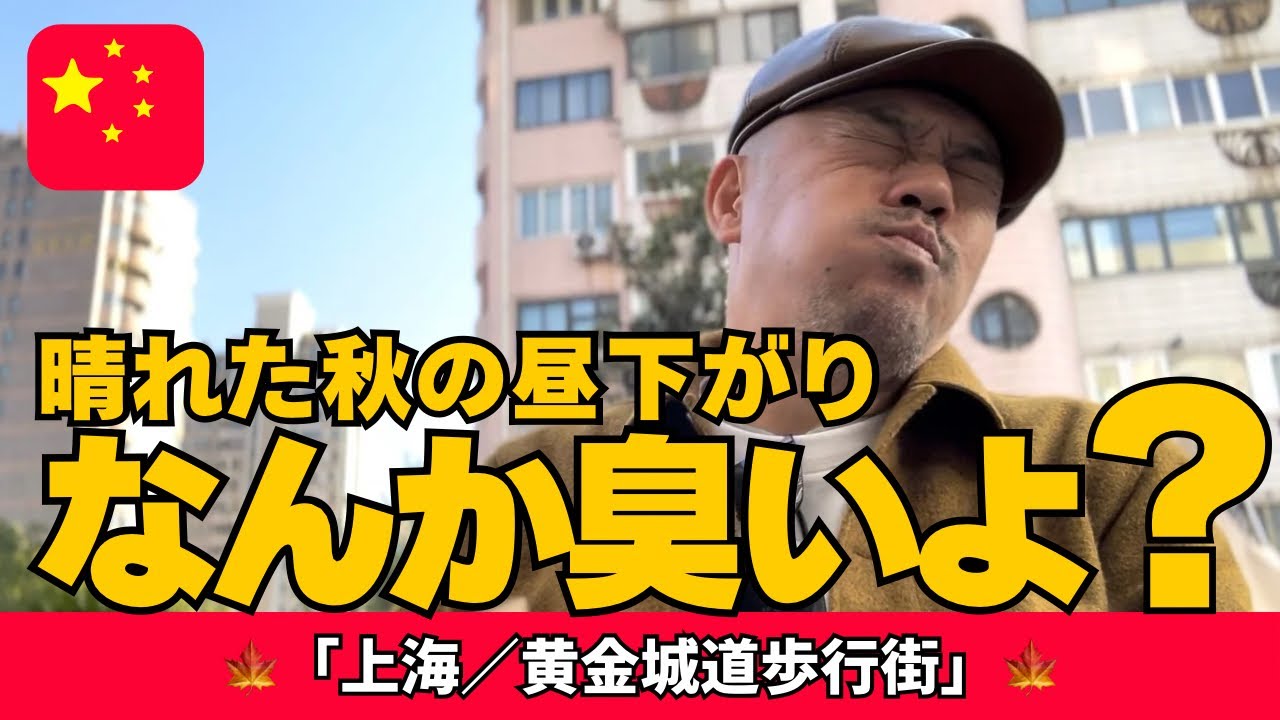 見た目は天国、でも臭いは？知らずに行くと後悔する有名な銀杏並木を歩いてみた「上海／黄金城道歩行街」
