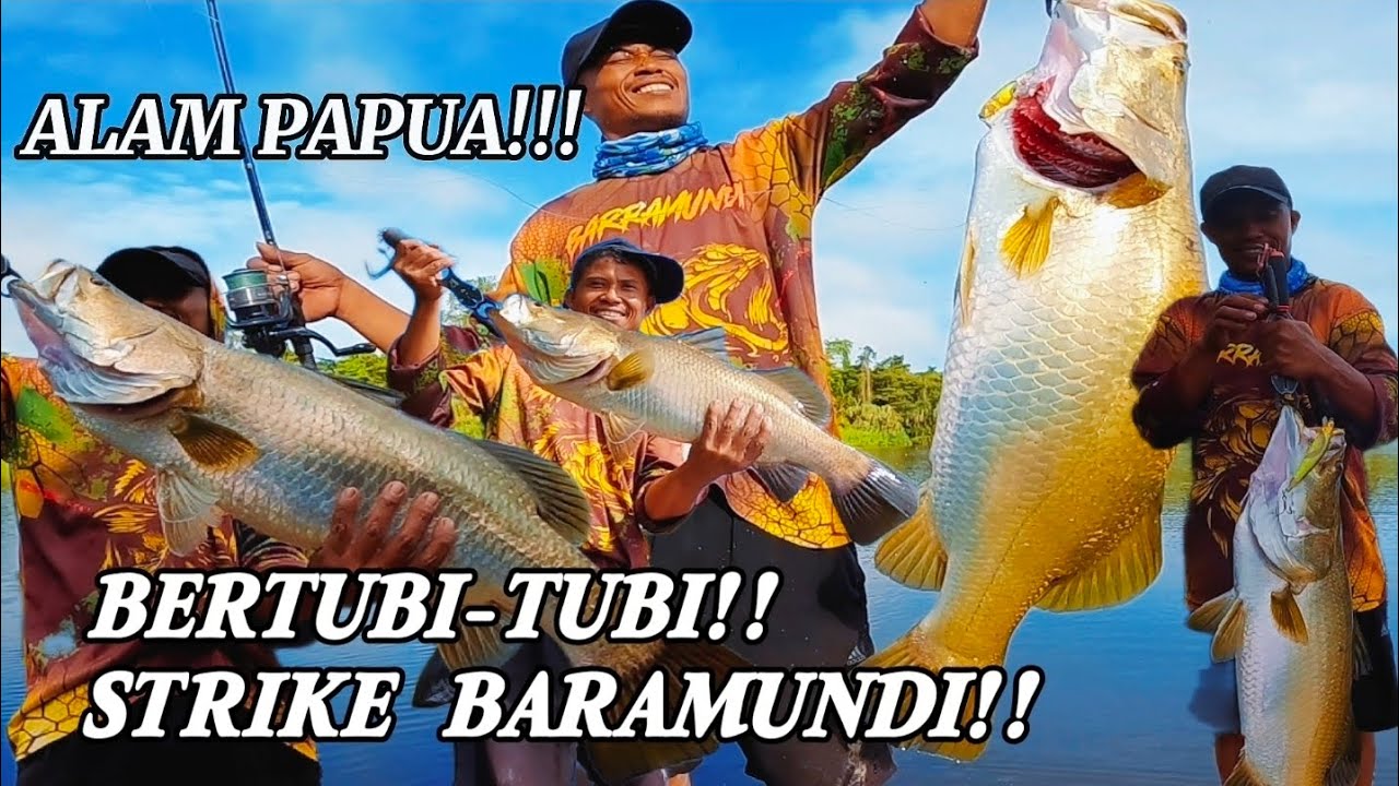 STRIKE BERTUBI-TUBI‼️ BARAMUNDI RAKSASA DI ALAM PAPUA‼️SURGANYA MANCING LIAR🔥#fishing