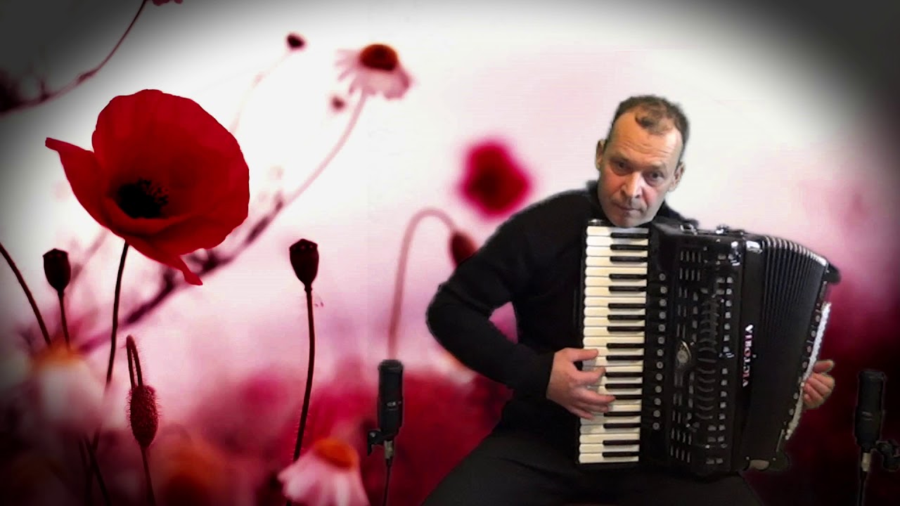 Amapola - accordion