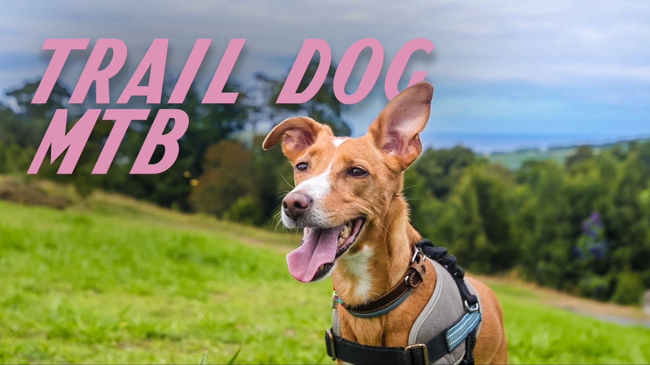A Man&acute;s Best Friend | Traildog MTB w/ Bernardo Teixeira