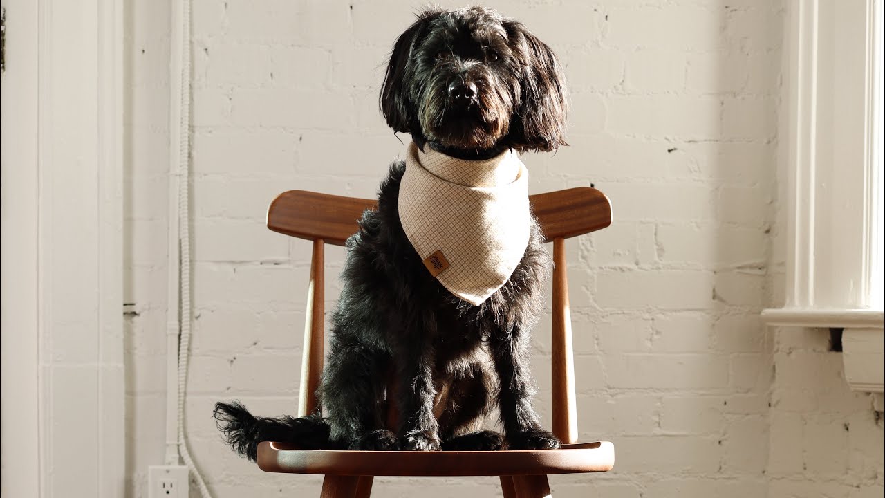 Sapele Mahogany Windsor Chair Build &mdash; DIY kit from Seat Smith