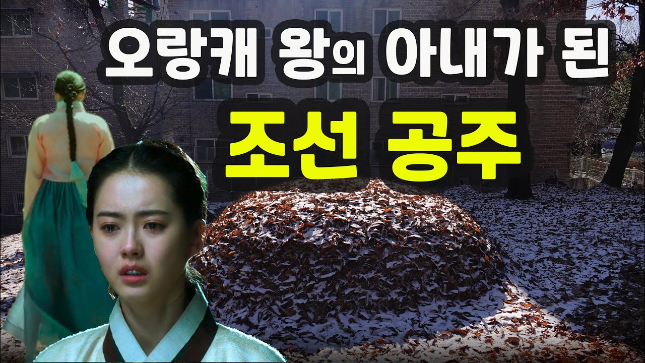 드라마 '연인'보다 더 슬픈 의순공주 이야기