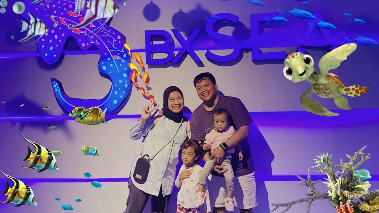 BXSEA FEBRUARI 2026, TERBARU!! 
