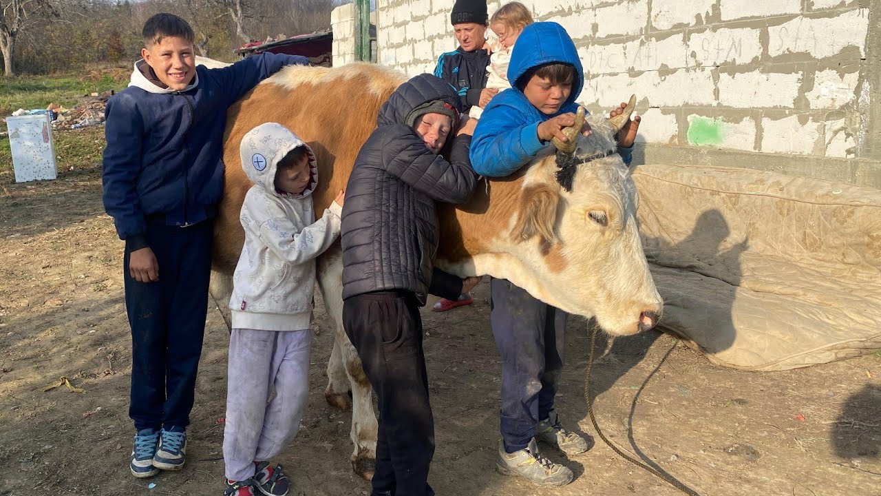 O văcuță pentru 13 COPII