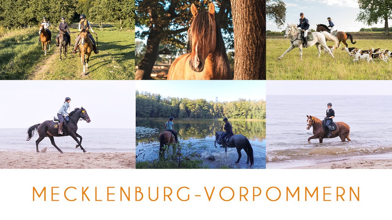 Reiturlaub in Deutschland: Mecklenburg-Vorpommern