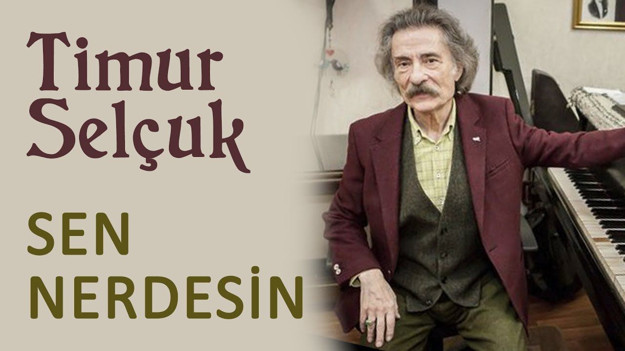 Timur Sel&ccedil;uk - Sen Nerdesin (Official Audio)