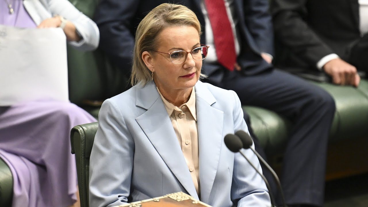 &lsquo;Hallucinating&rsquo;: Opposition slams Labor over &lsquo;inventing&rsquo; US beef ban talks