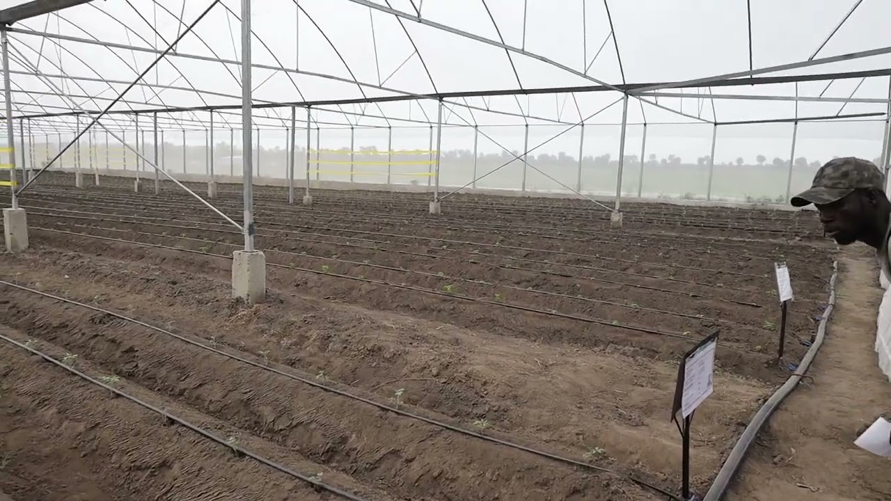 Une serre de 5000 m² carrés fabriquée et installée localement!!!