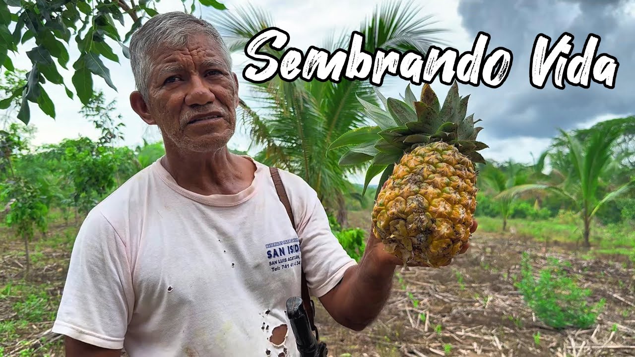 Programa de Reforestación más Grande del Mundo