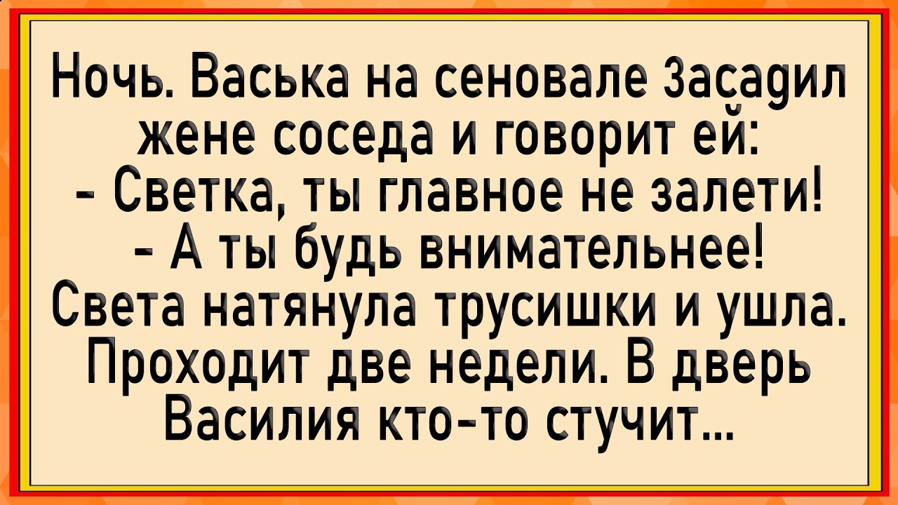 Как Светка от соседа залетела! Сборник свежих анекдотов! Юмор!