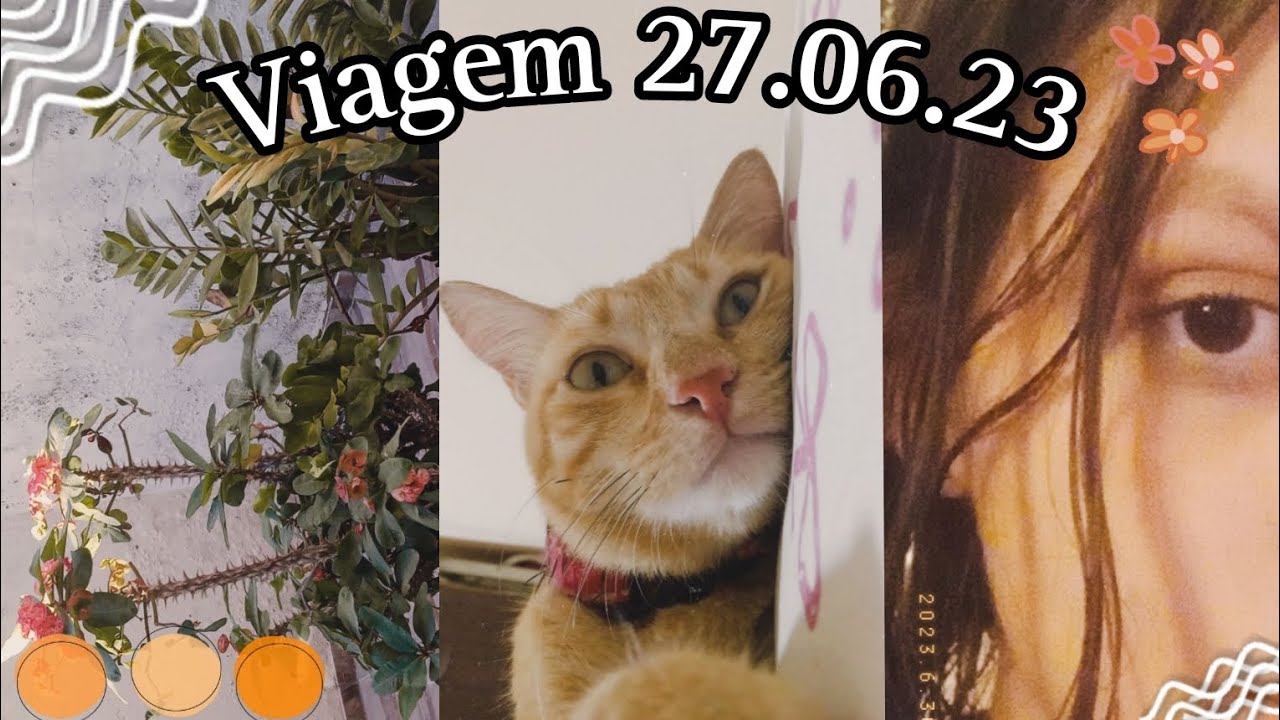 Viagem Araripina 27.06.23 ✨️🇧🇷