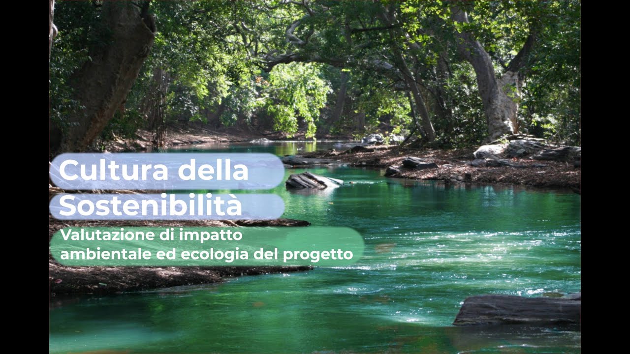 Valutazione di impatto ambientale ed ecologia del progetto