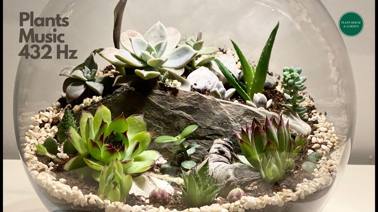 Music for Plants | Relaxing and healing with 432 Hz Frequency music for better growing