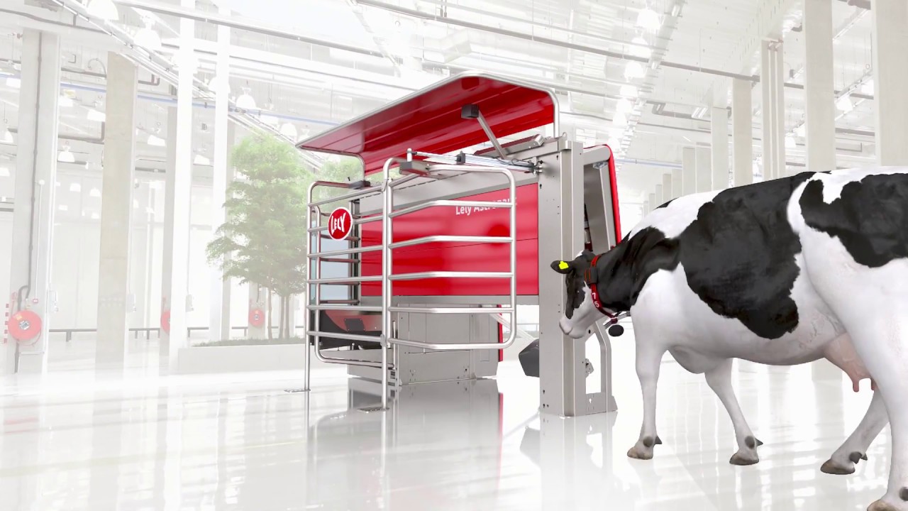 Cinqui&egrave;me g&eacute;n&eacute;ration de robots de traite Lely Astronaut A5