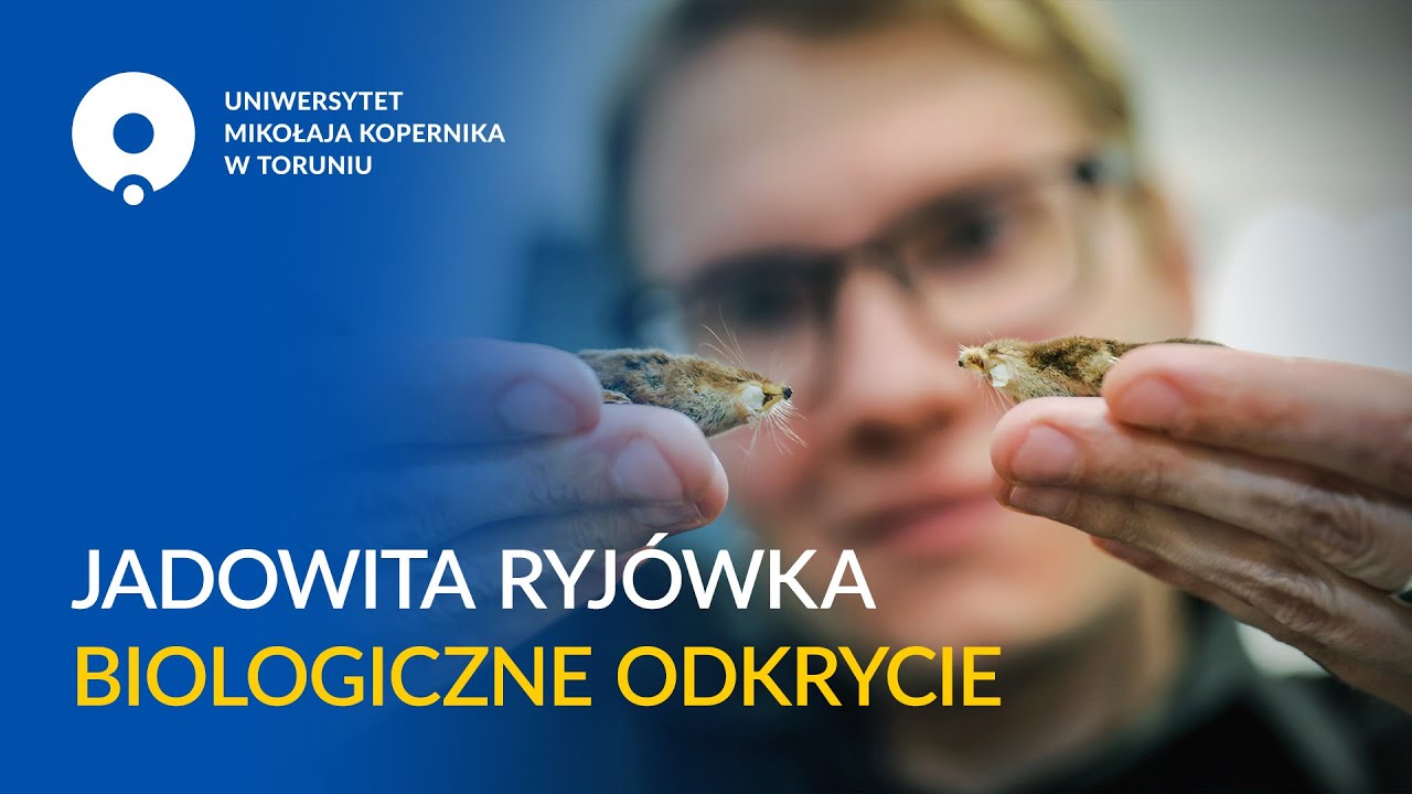 Jadowita ryjówka - biologiczne odkrycie