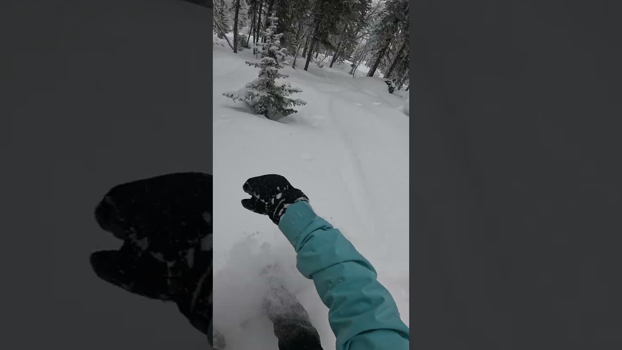 Спуск по лесу на ГЛК Телецкое