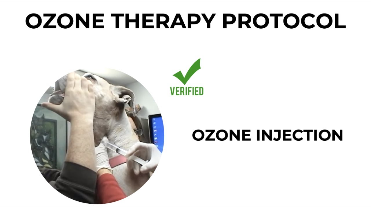 Ozone therapy injection for a dog
