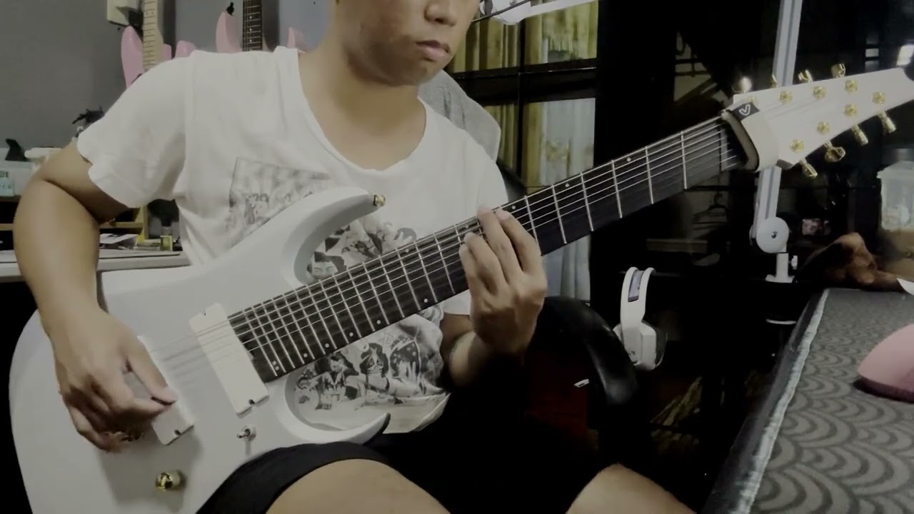Risk - Deftones Guitar Cover with Tabs | IBANEZ RGMDS8