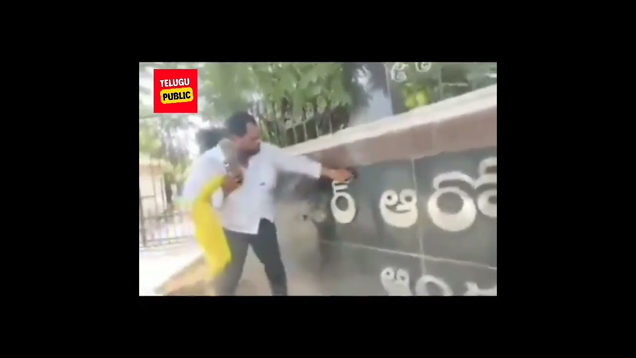 TDP Rowdyism