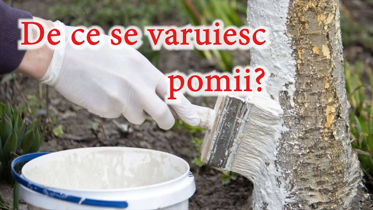 Rolul Varului la Pomii Fructiferi!