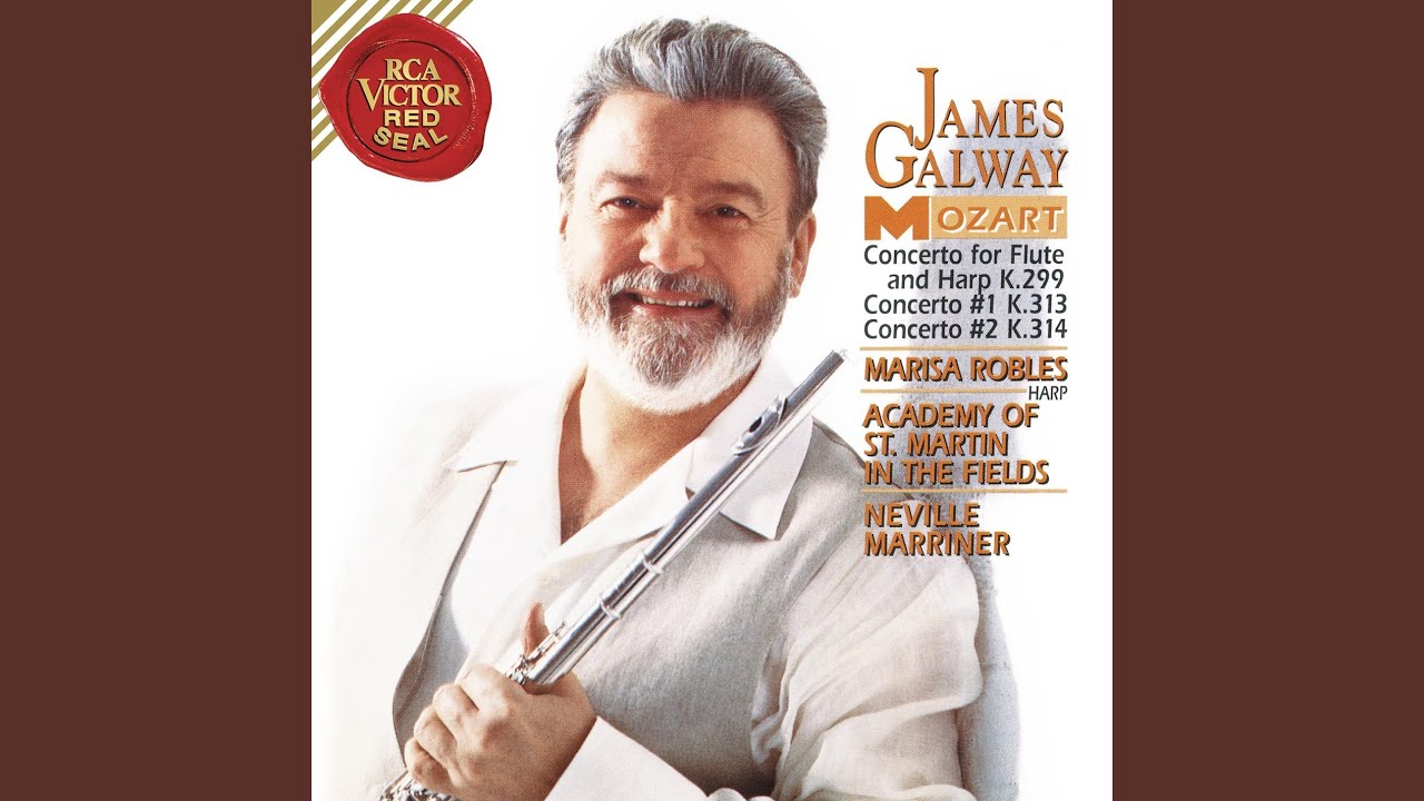 Concerto Flute and Orchestra No. 2 in D Major, K. 314: II. Adagio ma non troppo