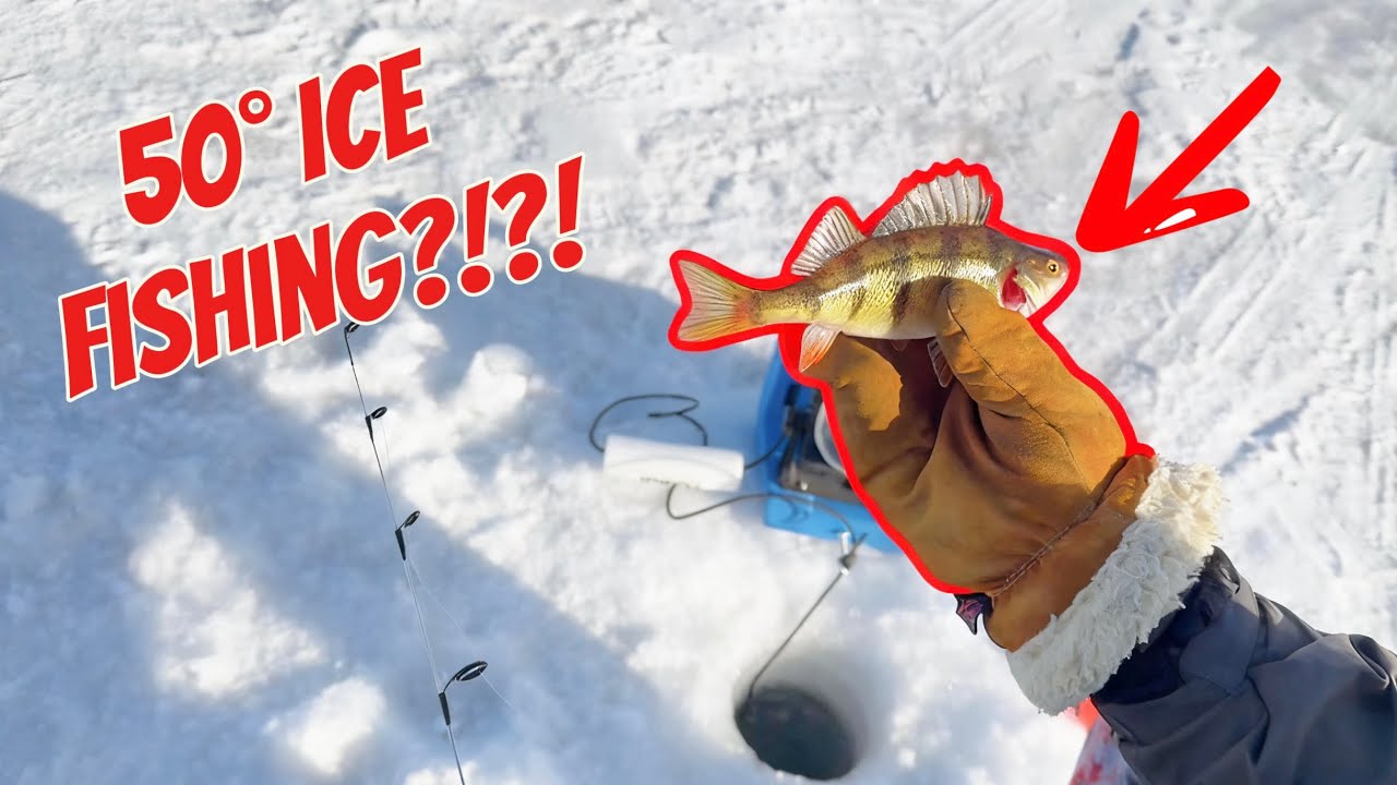 50° Ice Fishing in February?!