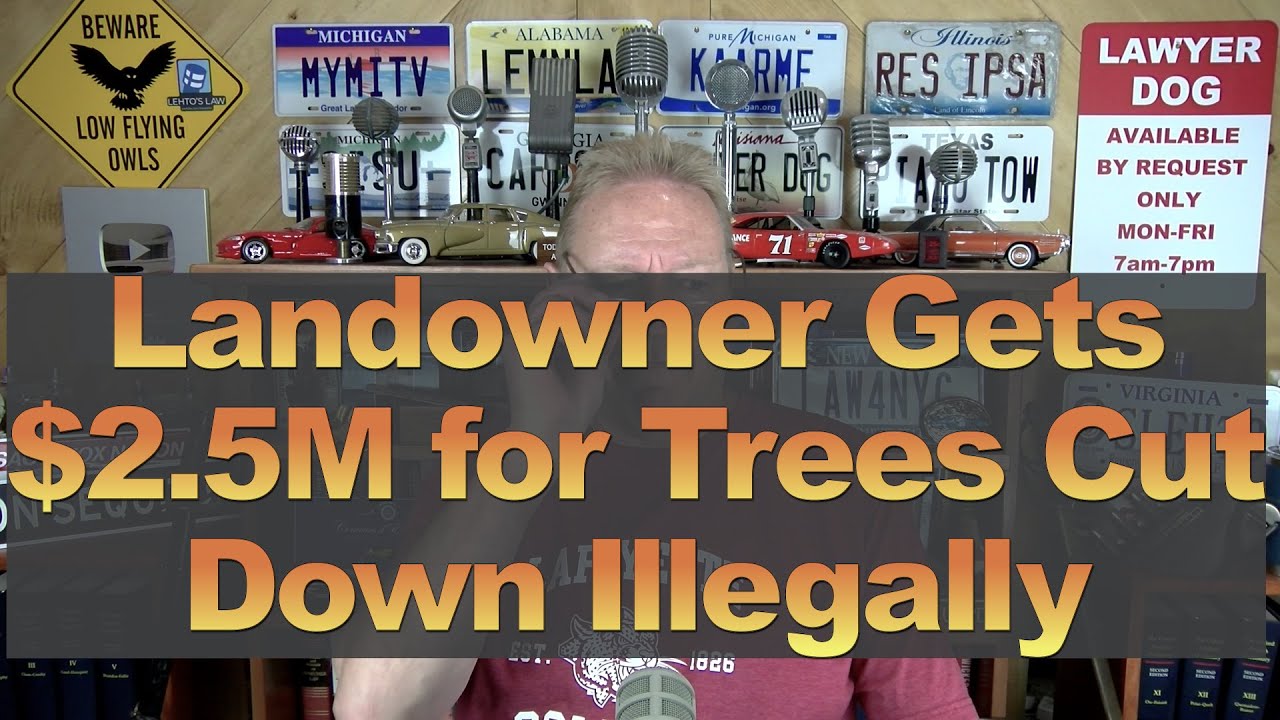 Landowner Gets $2.5M for Trees Cut Down Illegally