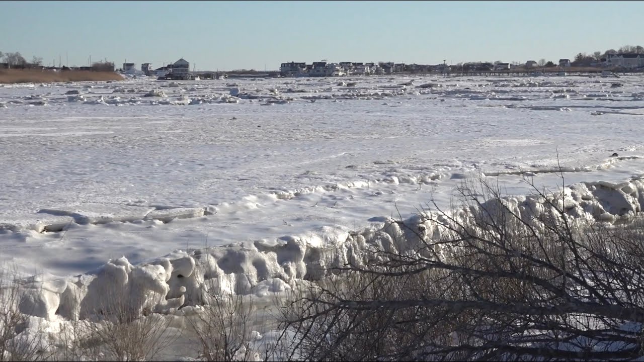 Marshfield Feb  9
