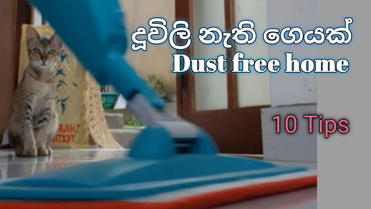 හරියටම දූවිලි පිසදාන ක්‍රමය | Top 10 Dusting Tips | Ino's Life | Sinhala
