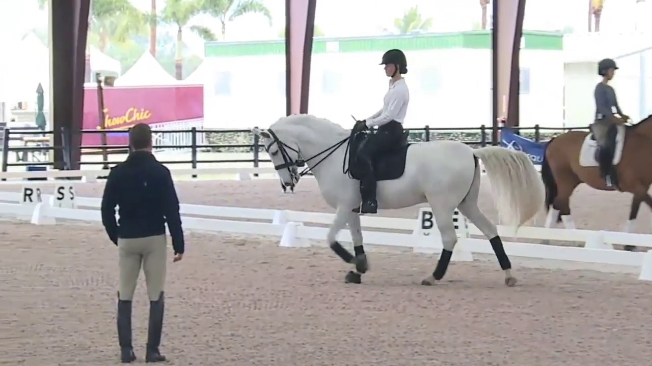 Robert Dover:  How To Create Collection And Maintain The Rhythm In Dressage