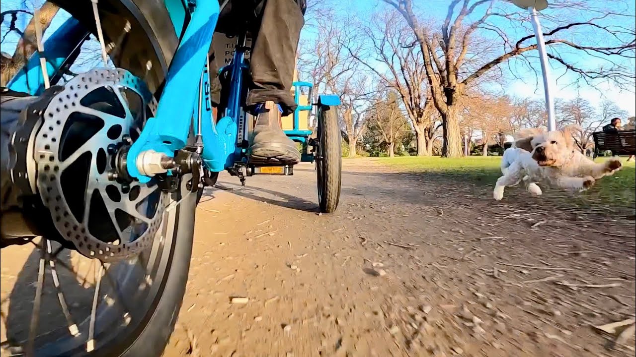 Best Electric Trike in Melbourne? Or all of Australia? The Eunorau Electric Trike. We love it!