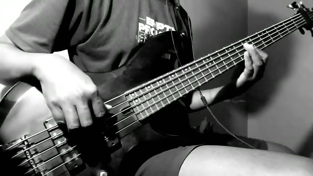 TILL MY HEARTACHES END (Bass Cover)