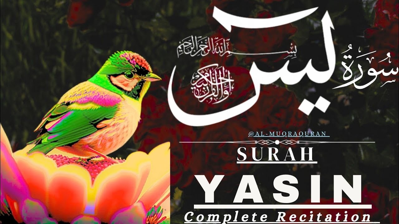 Surah Yaseen &ndash; EP 60 | Heart-Soothing & Beautiful Quran Recitation | Al Muqra Channel