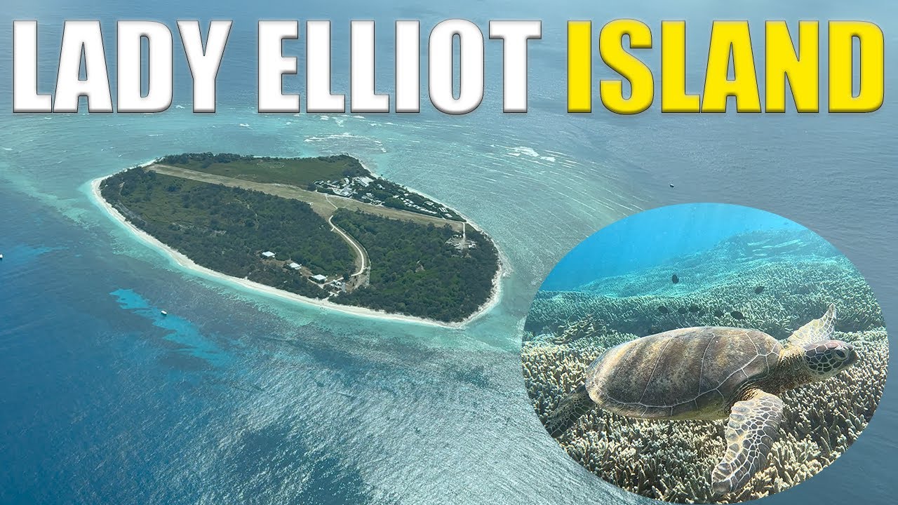 Scuba Diving Australia's Hidden Gem: Lady Elliot Island On Great Barrier Reef