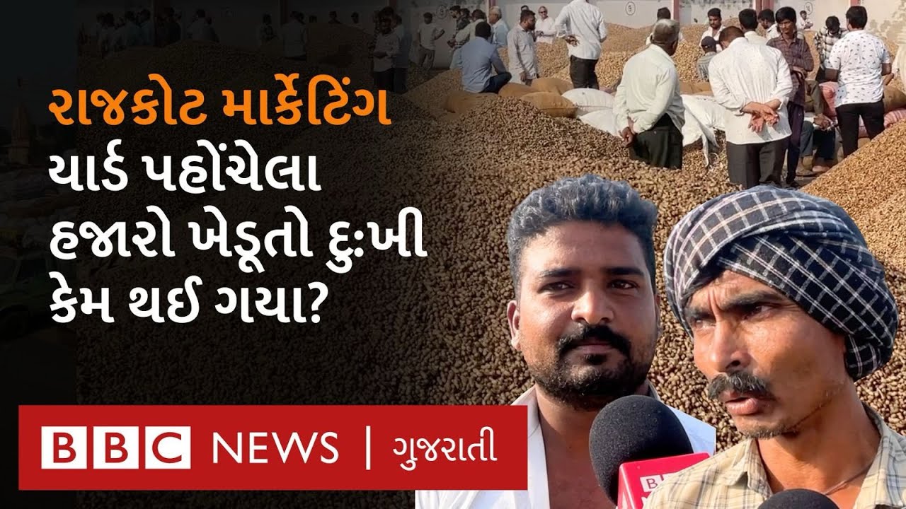 Rajkot : મગફળીની માર્કેટિંગ યાર્ડમાં એક લાખ ગુણીની આવક,  ખેડૂતો કેમ નિરાશ છે?  #Rajkot #magfali