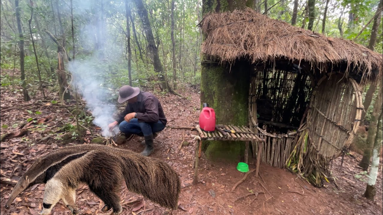 ABRIGO BUSHCRAFT, ANIMAIS SELVAGENS E MUITA CHUVA 