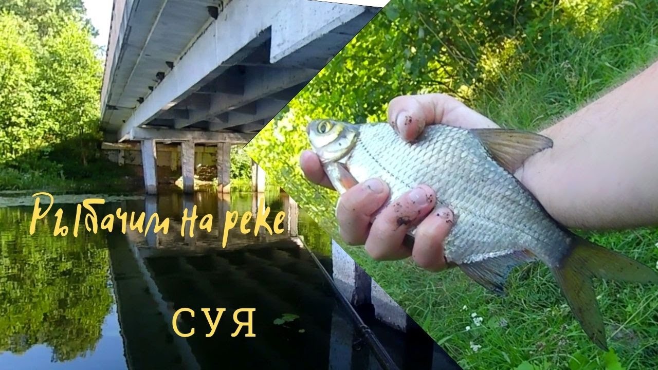 Рыбачим на реке. Суя