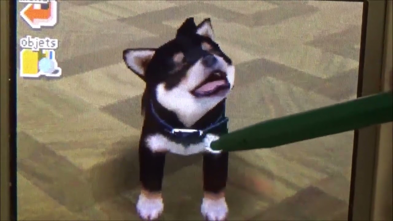 NintendogsV.L (Des Jeux, Entraînement de disque + une compétition en disque en classe Débutant )