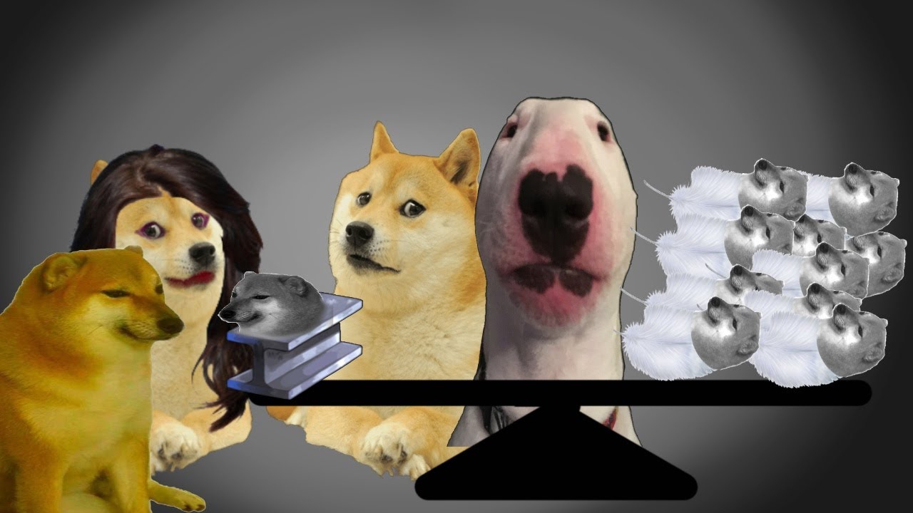 Doge's Show - What's heavier?