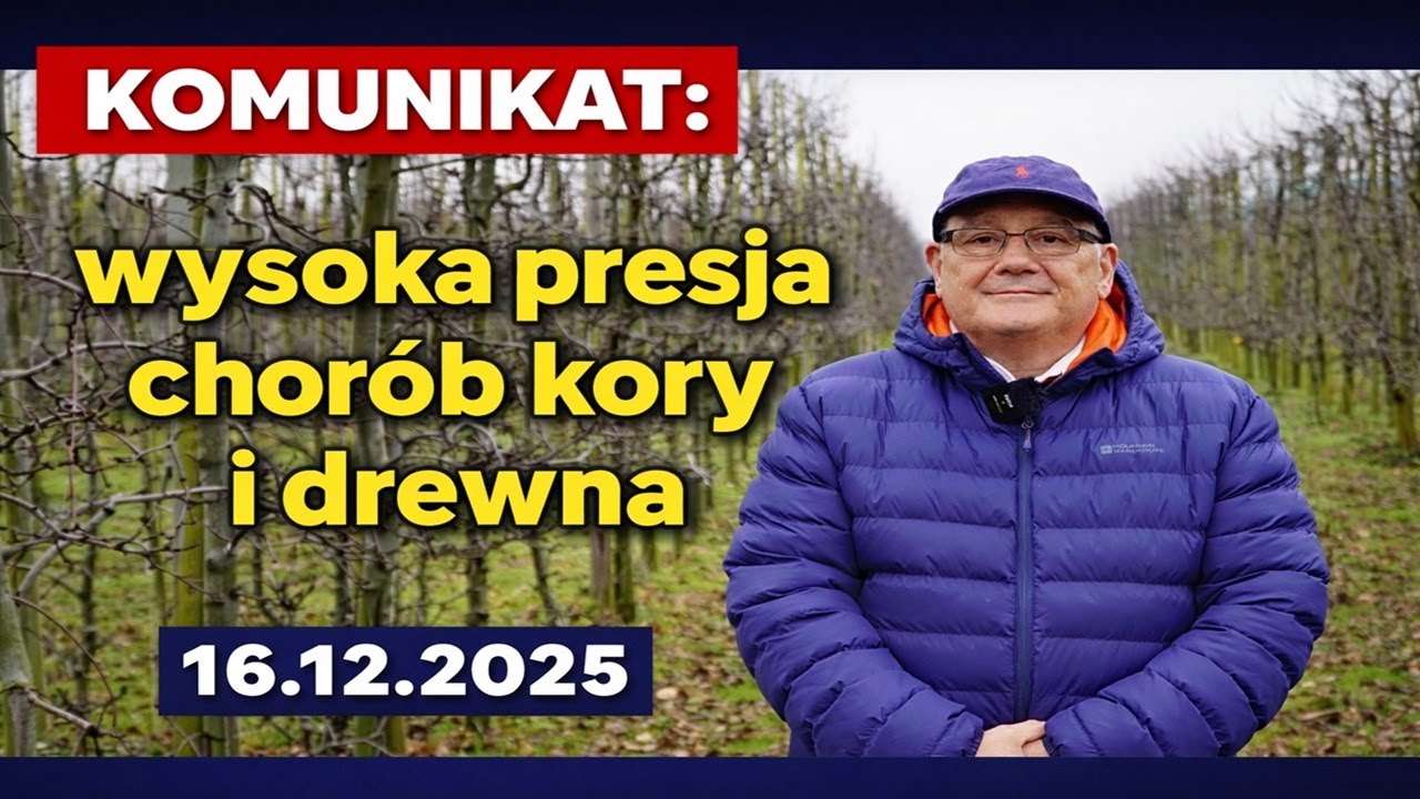 Komunikat: wysoka presja chorób kory i drewna, 16.12.2025