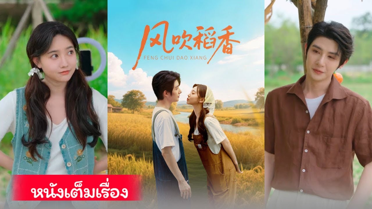 เด็กกำพร้าเก็บหนุ่มความจำเสื่อมมาเป็นเขย ร่วมทำงานจนรักกัน