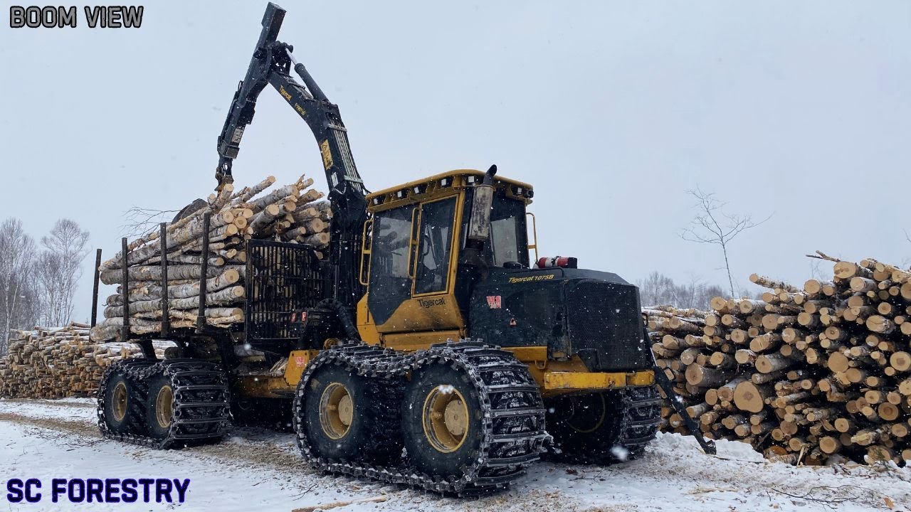 Tigercat 1075B Loading and Unloading White Birch