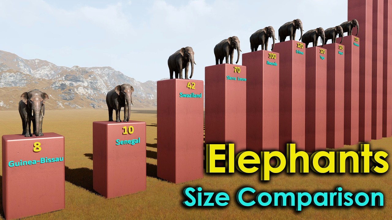 Top 50 Countries With The Most Elephants