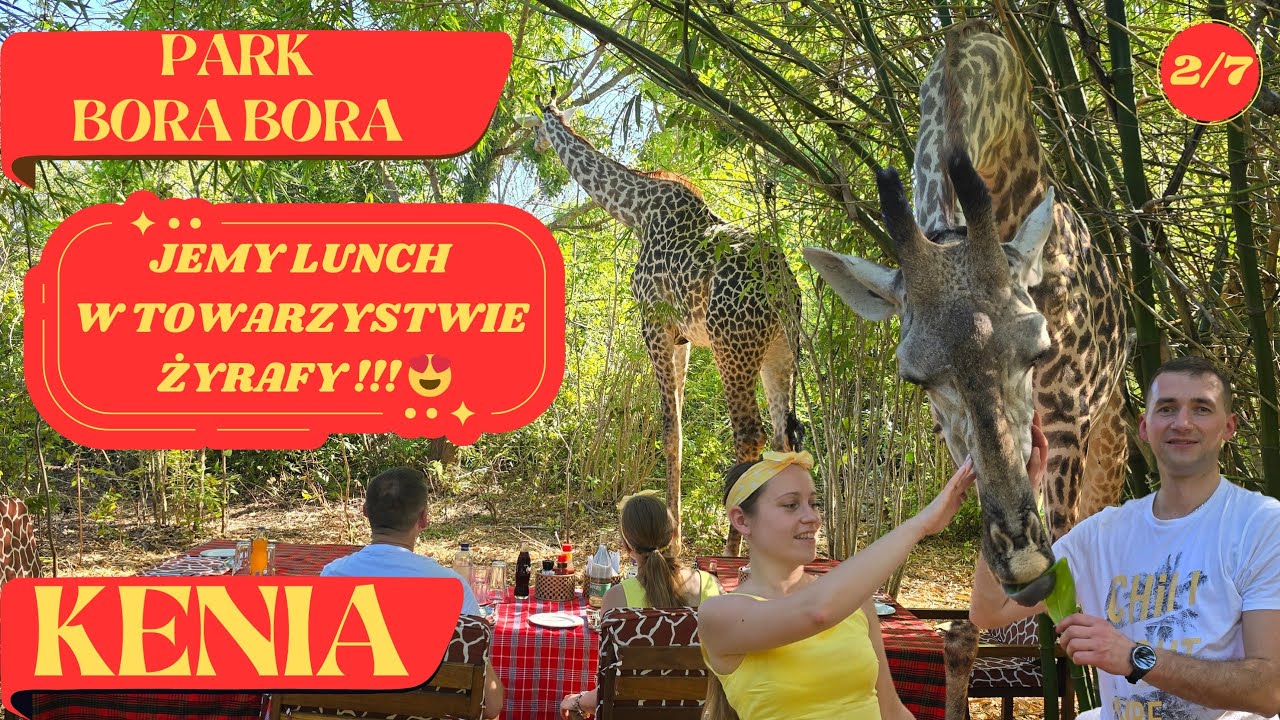 Kenia , Park Bora Bora , jemy lunch w towarzystwie ŻYRAFY 😍 świętujemy urodziny🥳@PaszportdoRaju