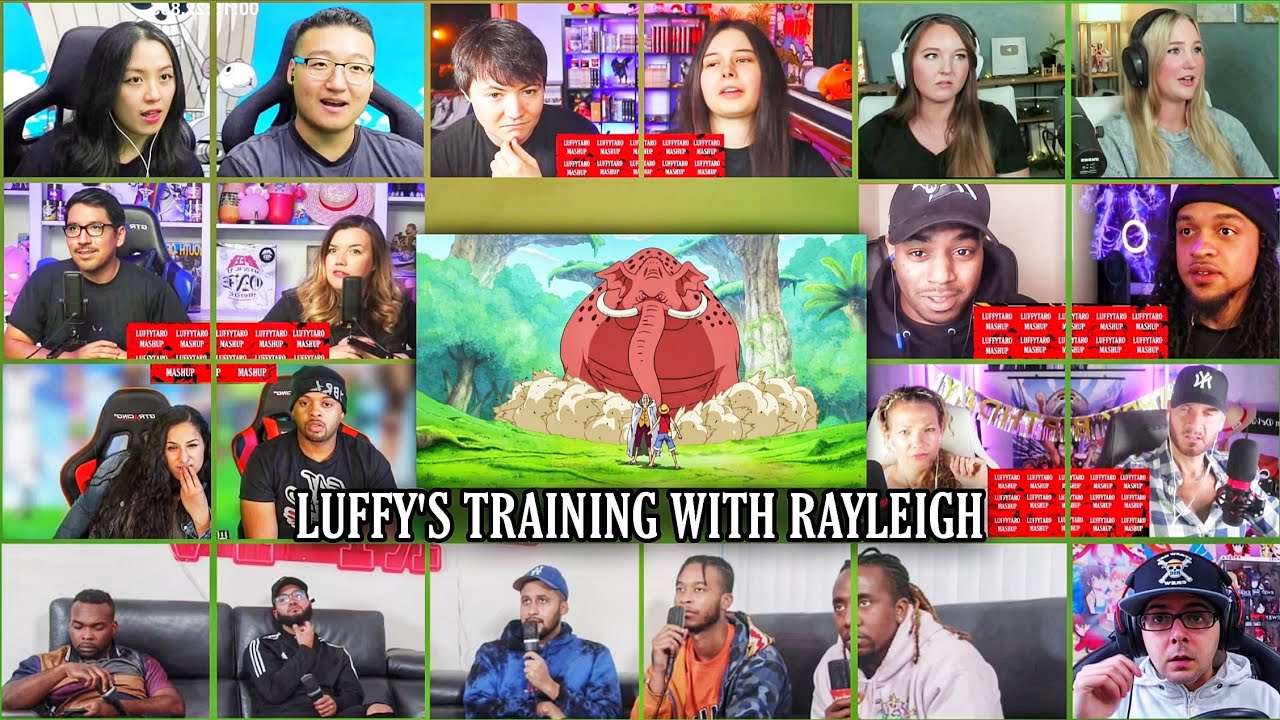 Luffy's Training with Rayleigh Reaction Mashup | One Piece Episode 516