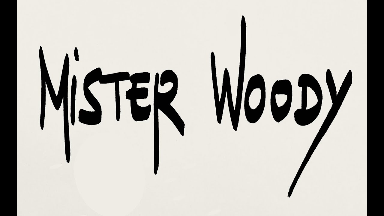 MISTER WOODY - FUNK BAND FROM NANTES