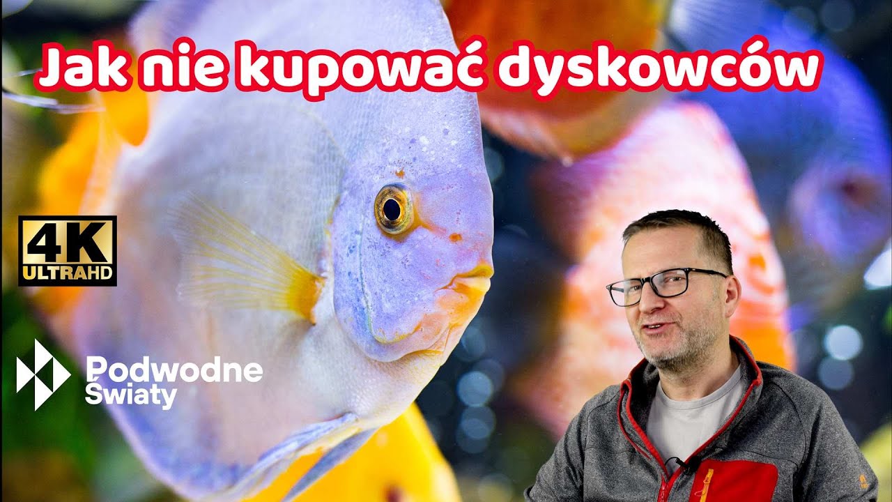 Jak nie kupować dyskowców