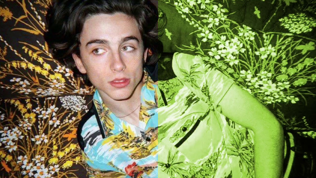 Gucci Gang - Timothée Chalamet