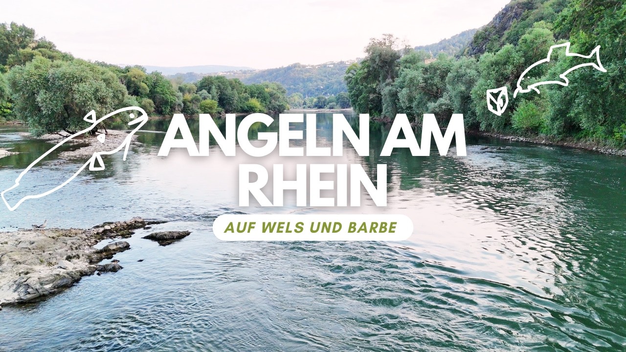 Angeln am Rhein auf Barbe und Wels