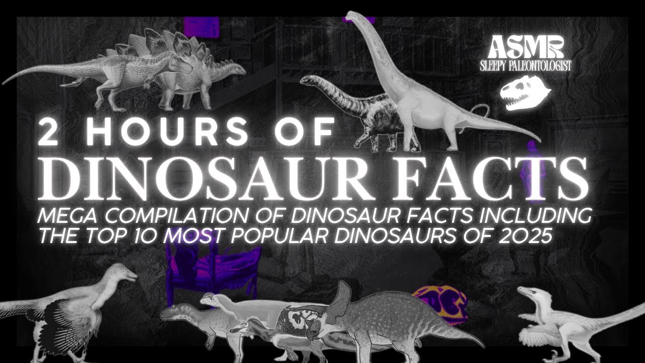 DINOSAUR FACTS TO FALL ASLEEP TO | 2 HOURS OF ASMR WITH RAIN
